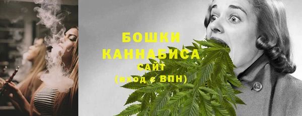 PSILOCYBIN Болхов