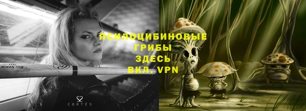 круглые Пересвет