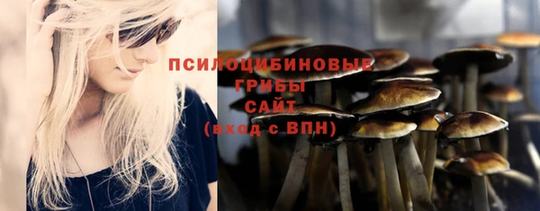 крисы Пестово