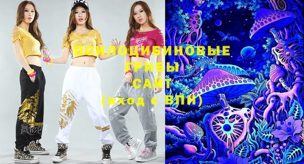 круглые Пересвет