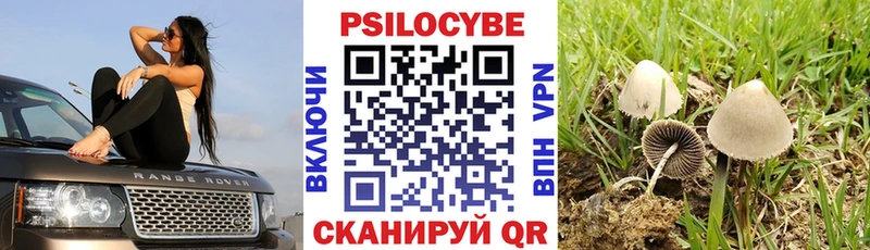 Галлюциногенные грибы Cubensis  гидра маркетплейс  Майский 